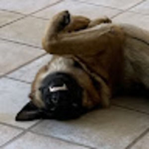 Meet your Posher, Benjamin